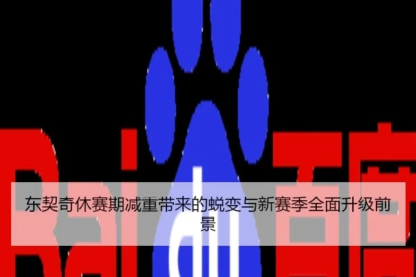 东契奇休赛期减重带来的蜕变与新赛季全面升级前景